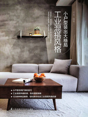 cover image of 小户型装出大格局：工业混搭风格